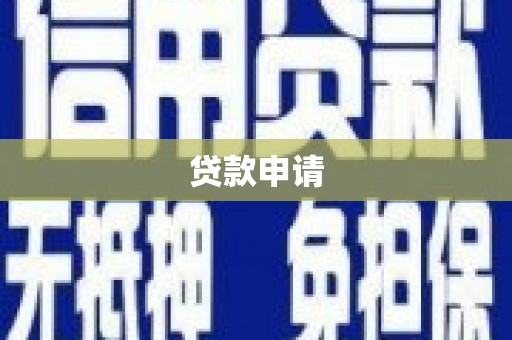 西夏贷款申请