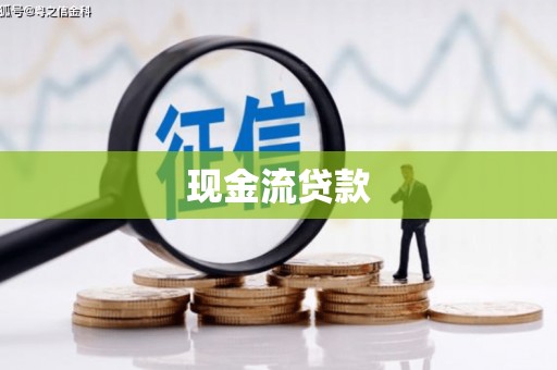 西夏现金流贷款
