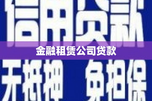 西夏金融租赁公司贷款