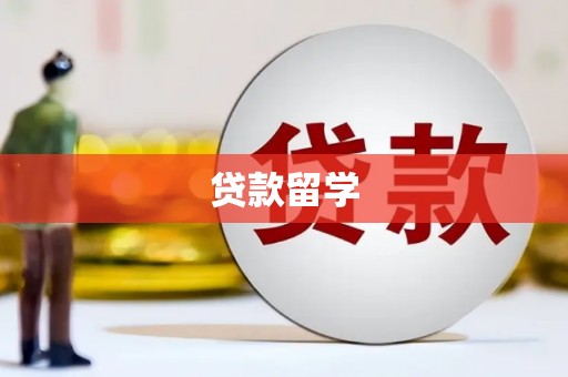 西夏贷款留学