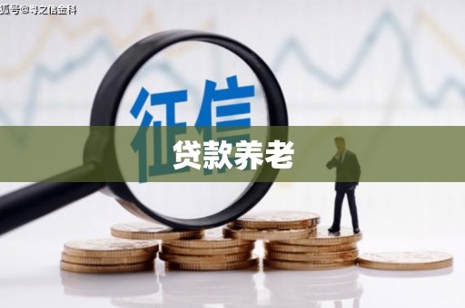 西夏贷款养老