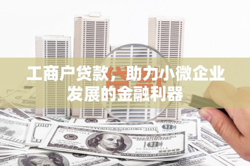 西夏工商户贷款，助力小微企业发展的金融利器
