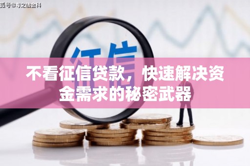西夏不看征信贷款，快速解决资金需求的秘密武器