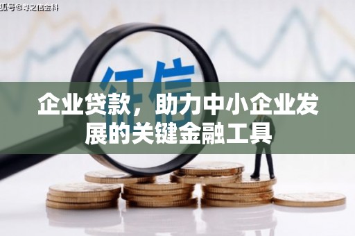 西夏企业贷款，助力中小企业发展的关键金融工具