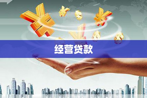 西夏经营贷款