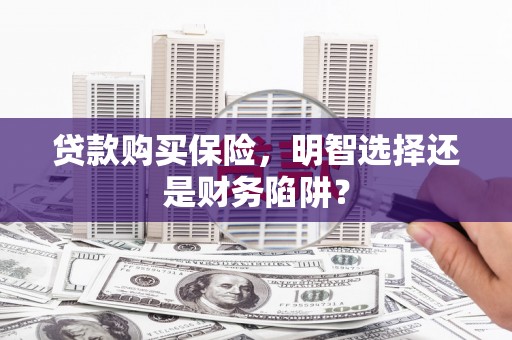 西夏贷款购买保险，明智选择还是财务陷阱？