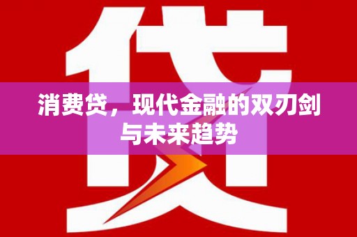 西夏消费贷，现代金融的双刃剑与未来趋势