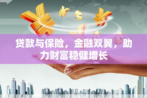 西夏贷款与保险，金融双翼，助力财富稳健增长