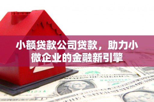 西夏小额贷款公司贷款，助力小微企业的金融新引擎