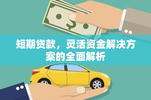 西夏短期贷款，灵活资金解决方案的全面解析