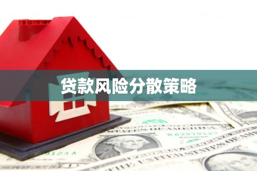 西夏贷款风险分散策略