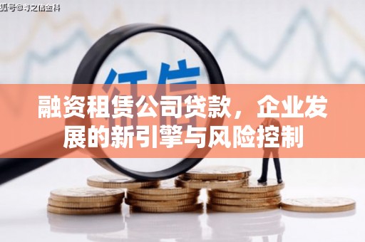 西夏融资租赁公司贷款，企业发展的新引擎与风险控制