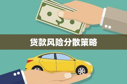 西夏贷款风险分散策略
