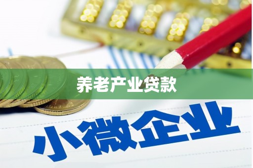 西夏养老产业贷款