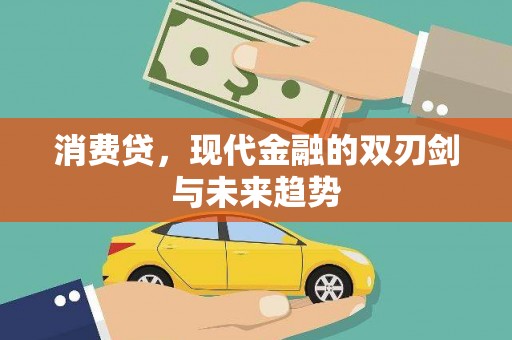 西夏消费贷，现代金融的双刃剑与未来趋势