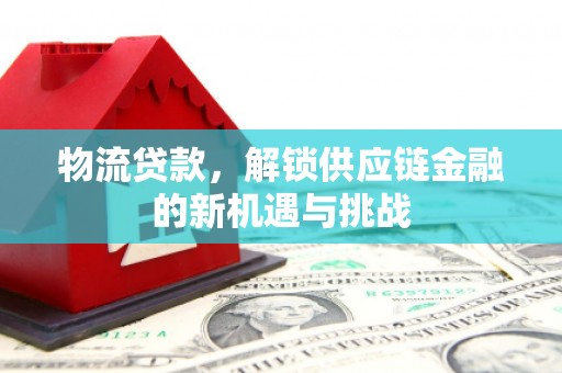 西夏物流贷款，解锁供应链金融的新机遇与挑战