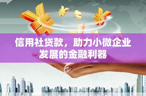 西夏信用社贷款，助力小微企业发展的金融利器