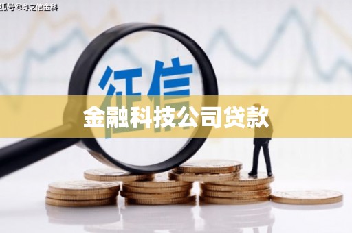 西夏金融科技公司贷款