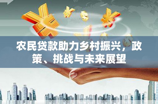 西夏农民贷款助力乡村振兴，政策、挑战与未来展望