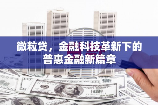 西夏微粒贷，金融科技革新下的普惠金融新篇章