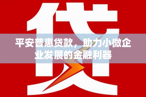 西夏平安普惠贷款，助力小微企业发展的金融利器