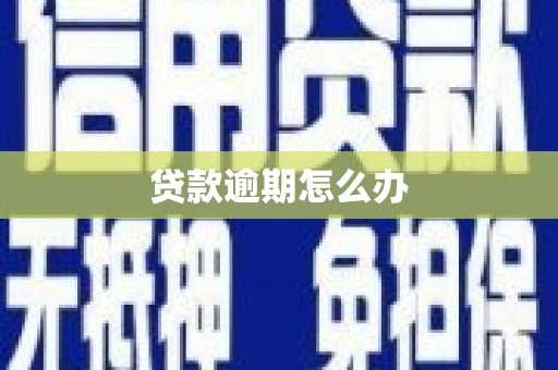 西夏贷款逾期怎么办