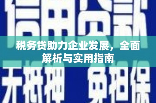 西夏税务贷助力企业发展，全面解析与实用指南