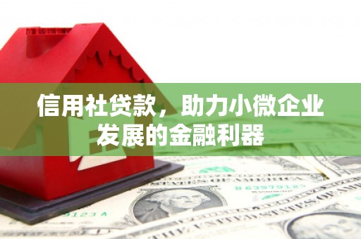 西夏信用社贷款，助力小微企业发展的金融利器