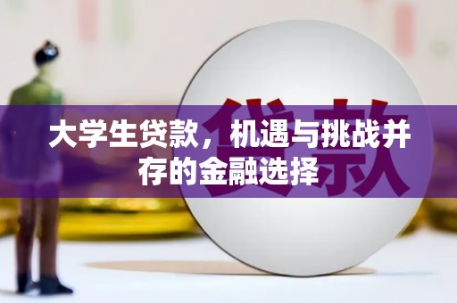 西夏大学生贷款，机遇与挑战并存的金融选择