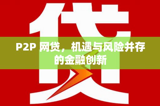 西夏P2P 网贷，机遇与风险并存的金融创新