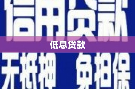 西夏低息贷款