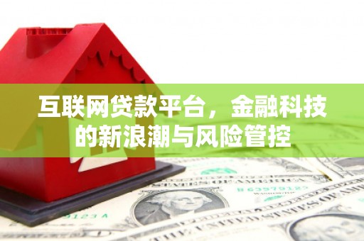 西夏互联网贷款平台，金融科技的新浪潮与风险管控