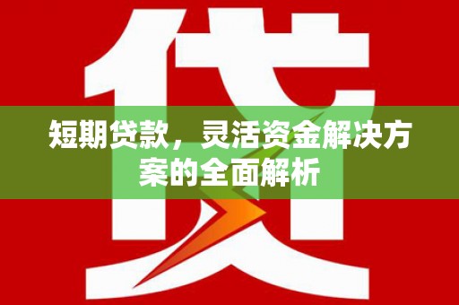 西夏短期贷款，灵活资金解决方案的全面解析