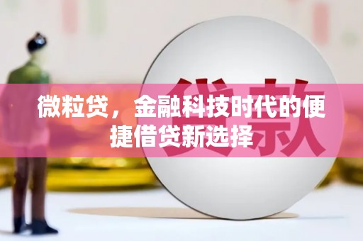 西夏微粒贷，金融科技时代的便捷借贷新选择