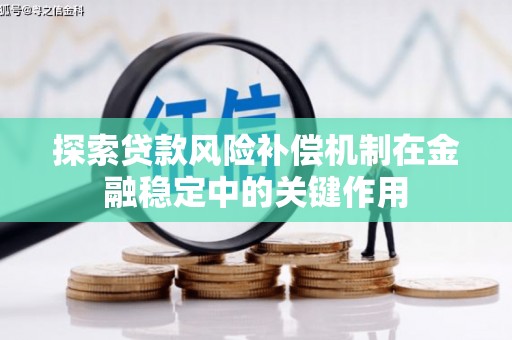 西夏探索贷款风险补偿机制在金融稳定中的关键作用