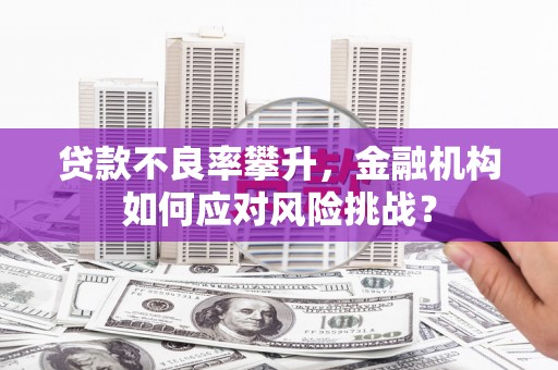 西夏贷款不良率攀升，金融机构如何应对风险挑战？