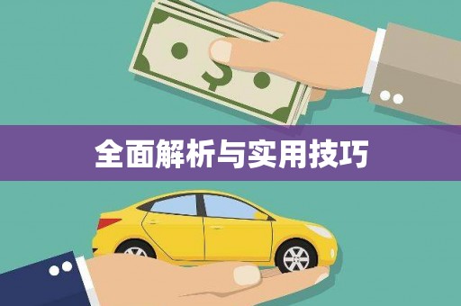 西夏全面解析与实用技巧