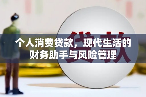 西夏个人消费贷款，现代生活的财务助手与风险管理