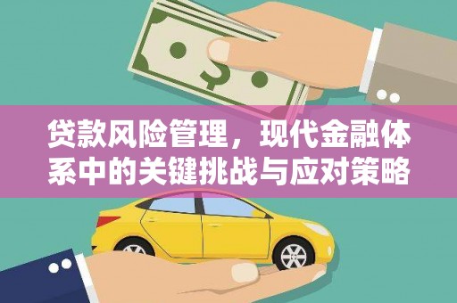 西夏贷款风险管理，现代金融体系中的关键挑战与应对策略