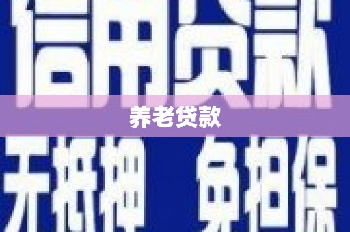 西夏养老贷款