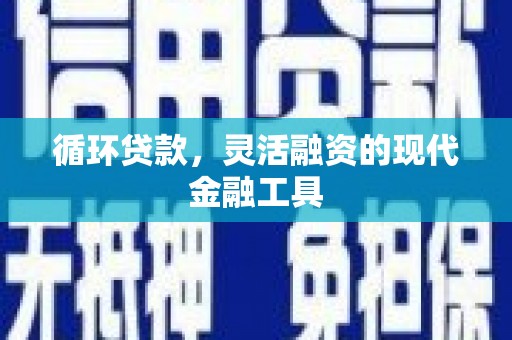 西夏循环贷款，灵活融资的现代金融工具