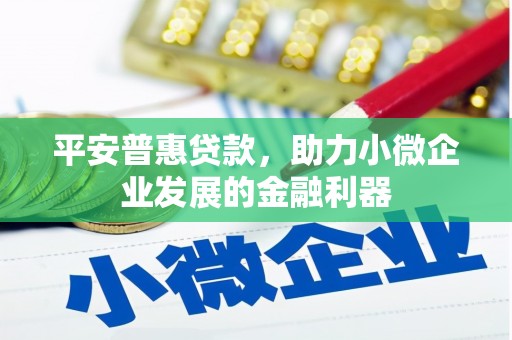 西夏平安普惠贷款，助力小微企业发展的金融利器