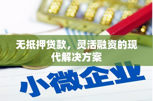 西夏无抵押贷款，灵活融资的现代解决方案
