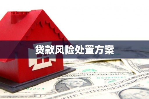 西夏贷款风险处置方案