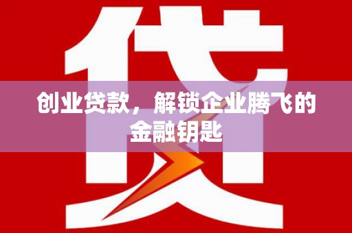 西夏创业贷款，解锁企业腾飞的金融钥匙