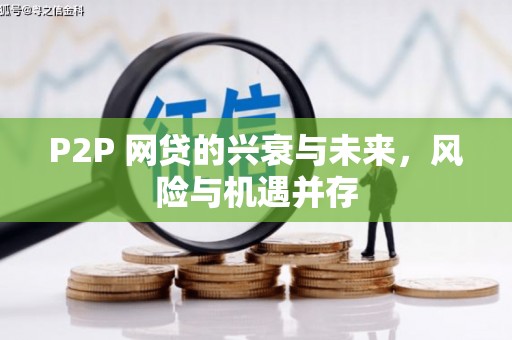 西夏P2P 网贷的兴衰与未来，风险与机遇并存