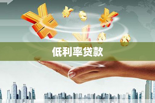西夏低利率贷款