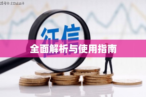 西夏全面解析与使用指南