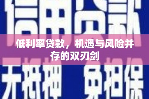 西夏低利率贷款，机遇与风险并存的双刃剑