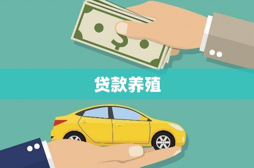 西夏贷款养殖